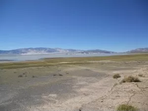 Laguna Blanca - Ruta provincial 43