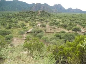 Altar oriental de Shincal