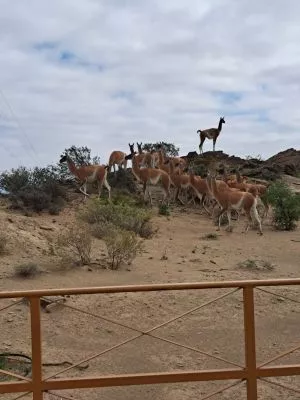 Entrada al parque - Ischigualasto